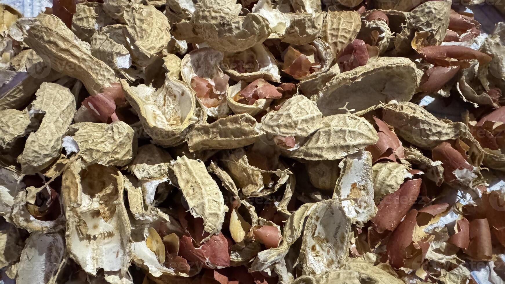 Pile of Broken and Discarded Peanut Shells photo