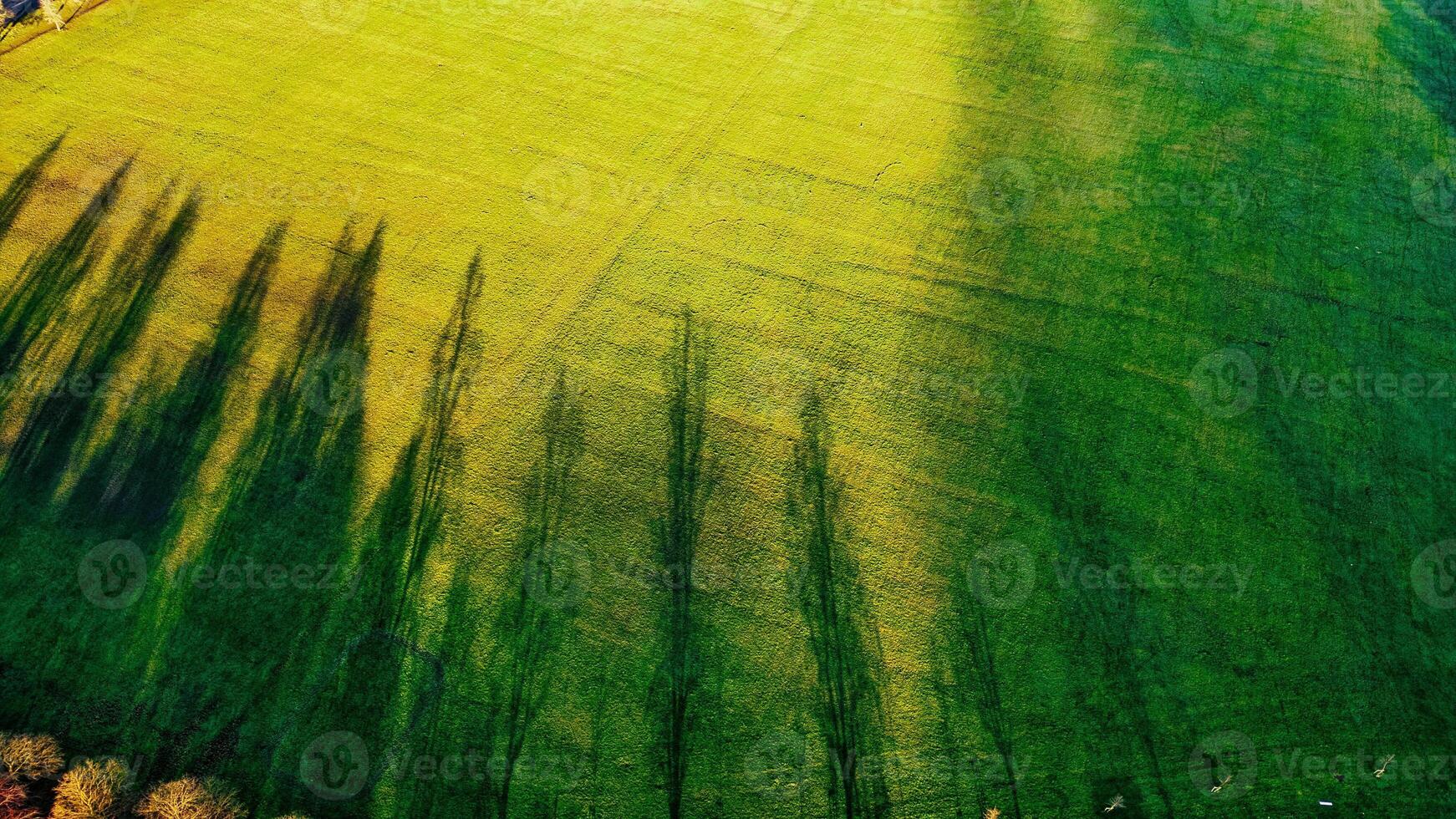 Aerial View of Grass Field with Tree Shadows photo