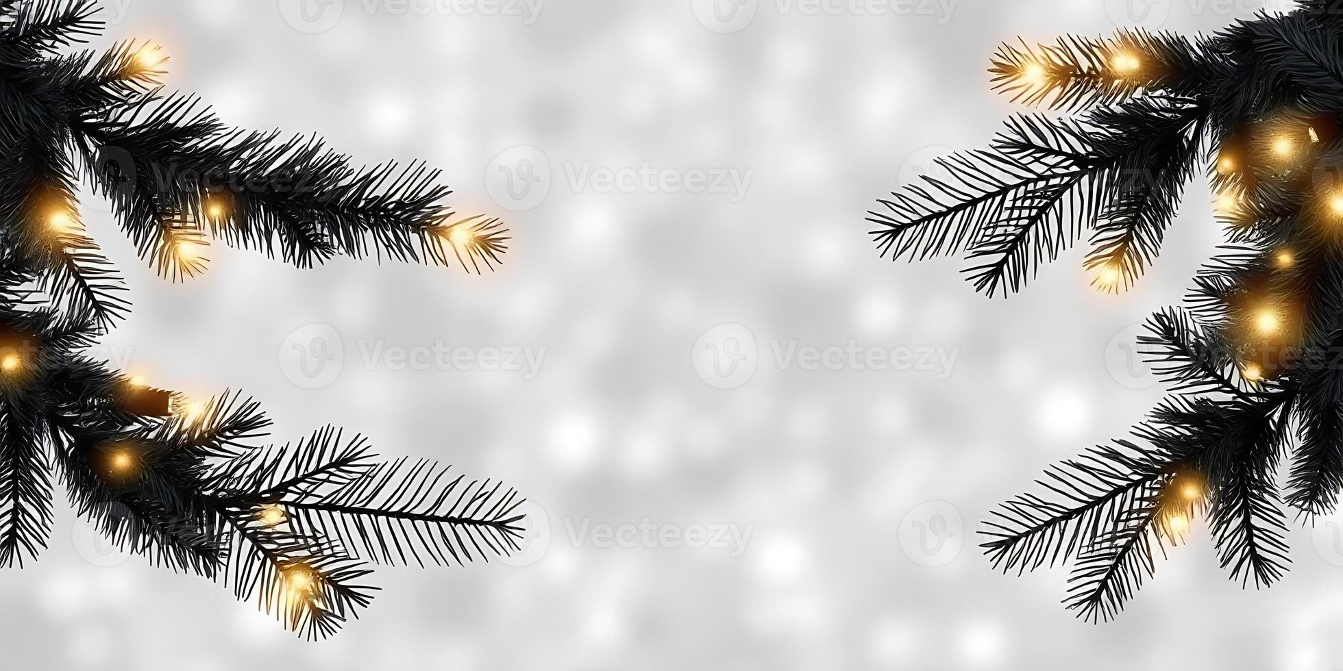 christmas tree branches photo