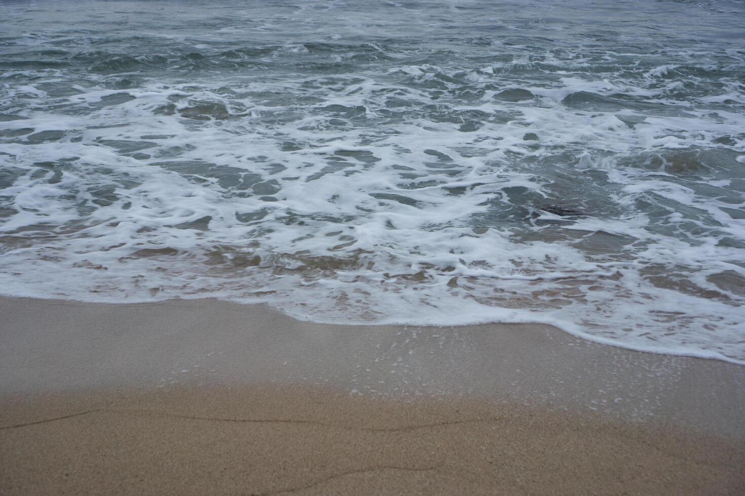 Soft Wave Foam Touches the Sandy Shoreline photo