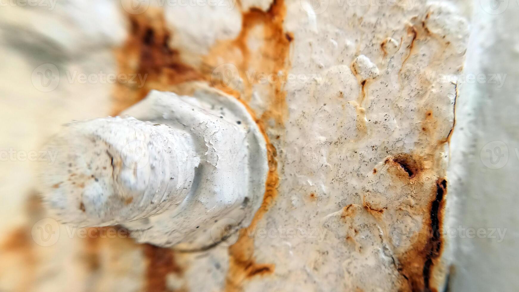 Close up of rusty iron-6 photo