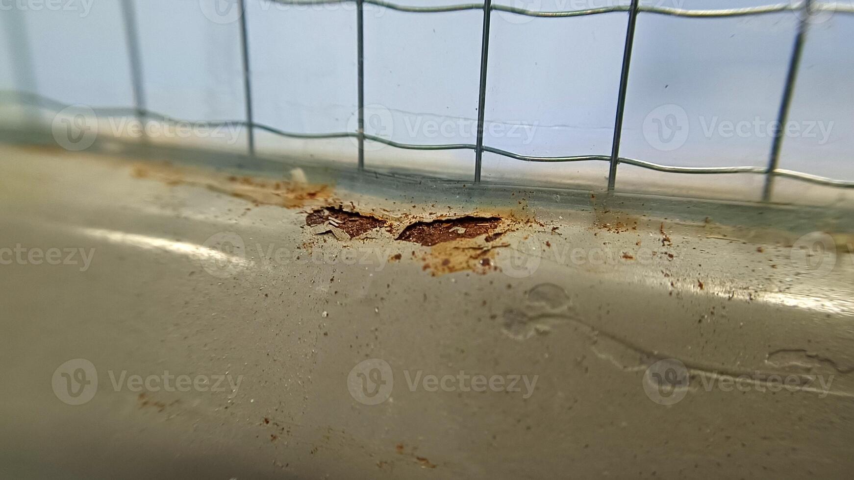 Close up of rusty irons photo