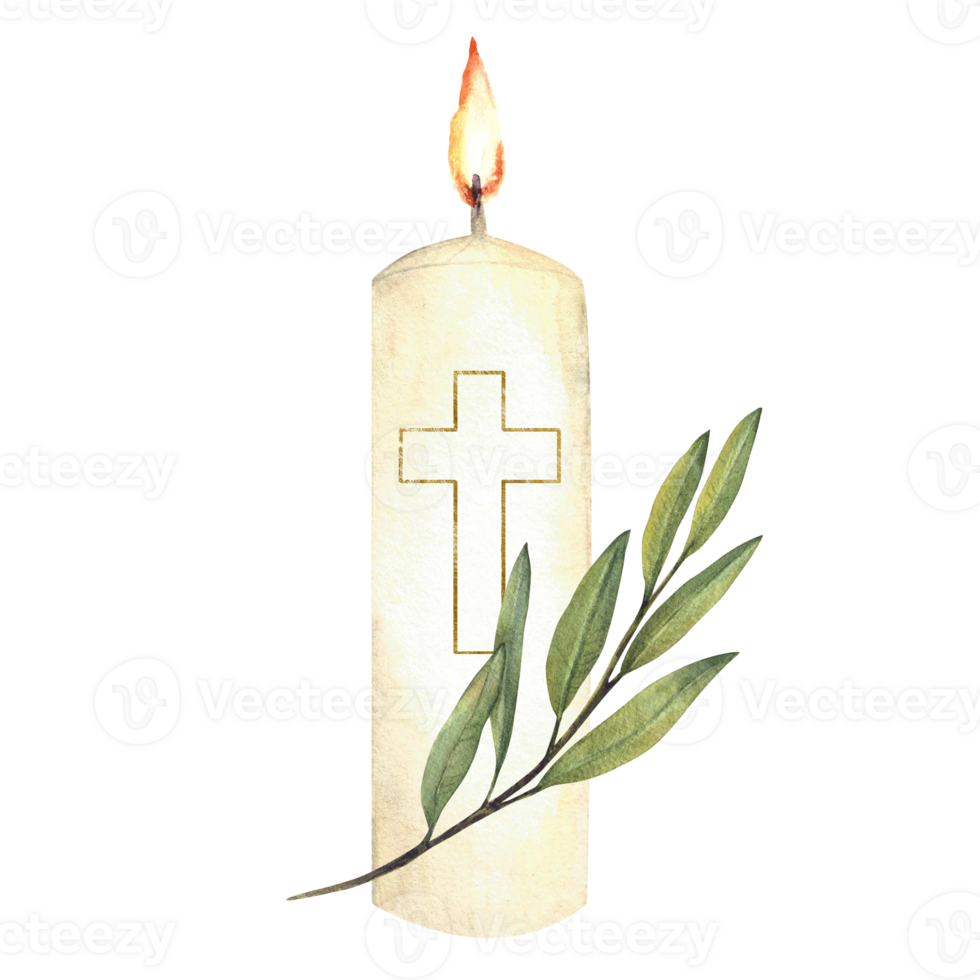 White burning church candle with golden cross and green olive tree branch. Watercolor religious hand drawn illustration for christening, wedding, Easter, funeral card design. Isolated from background png