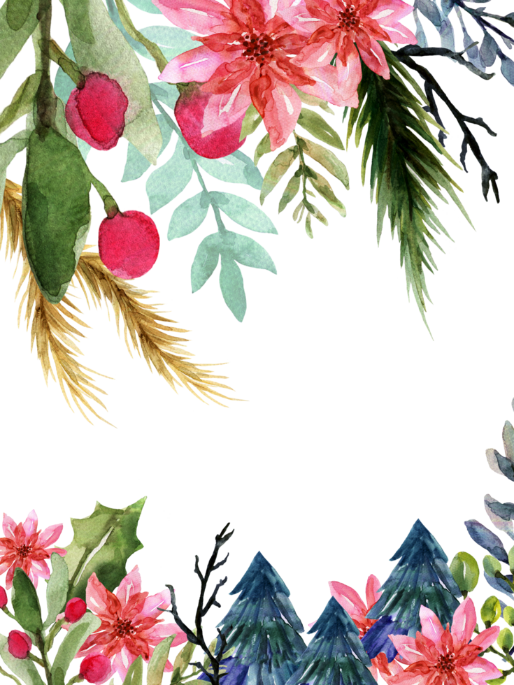 Watercolor christmas frame with poinsettia, holly and pine trees png