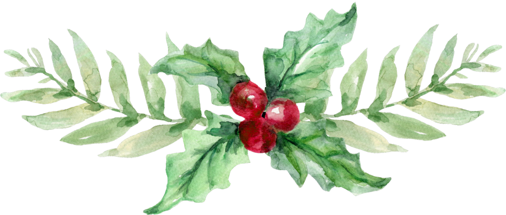 Watercolor christmas holly leaves and berries png