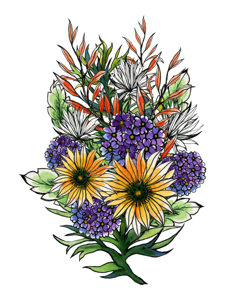 A drawing of a bouquet of flowers png
