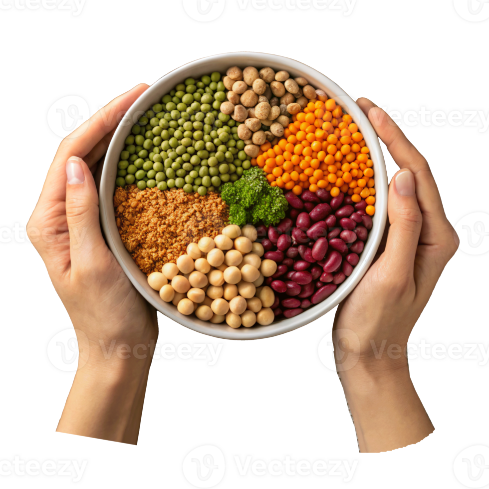 Hand hold a bowl of mix pulses, transparent background png