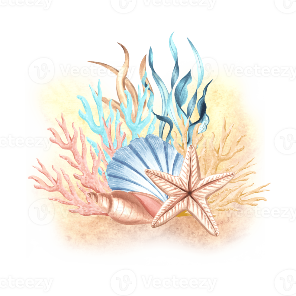 Starfish with seashells, corals and seaweed. Underwater wildlife composition with reef animals. Hand drawn watercolor illustration isolated. Marine clip art for card, textile, print. png