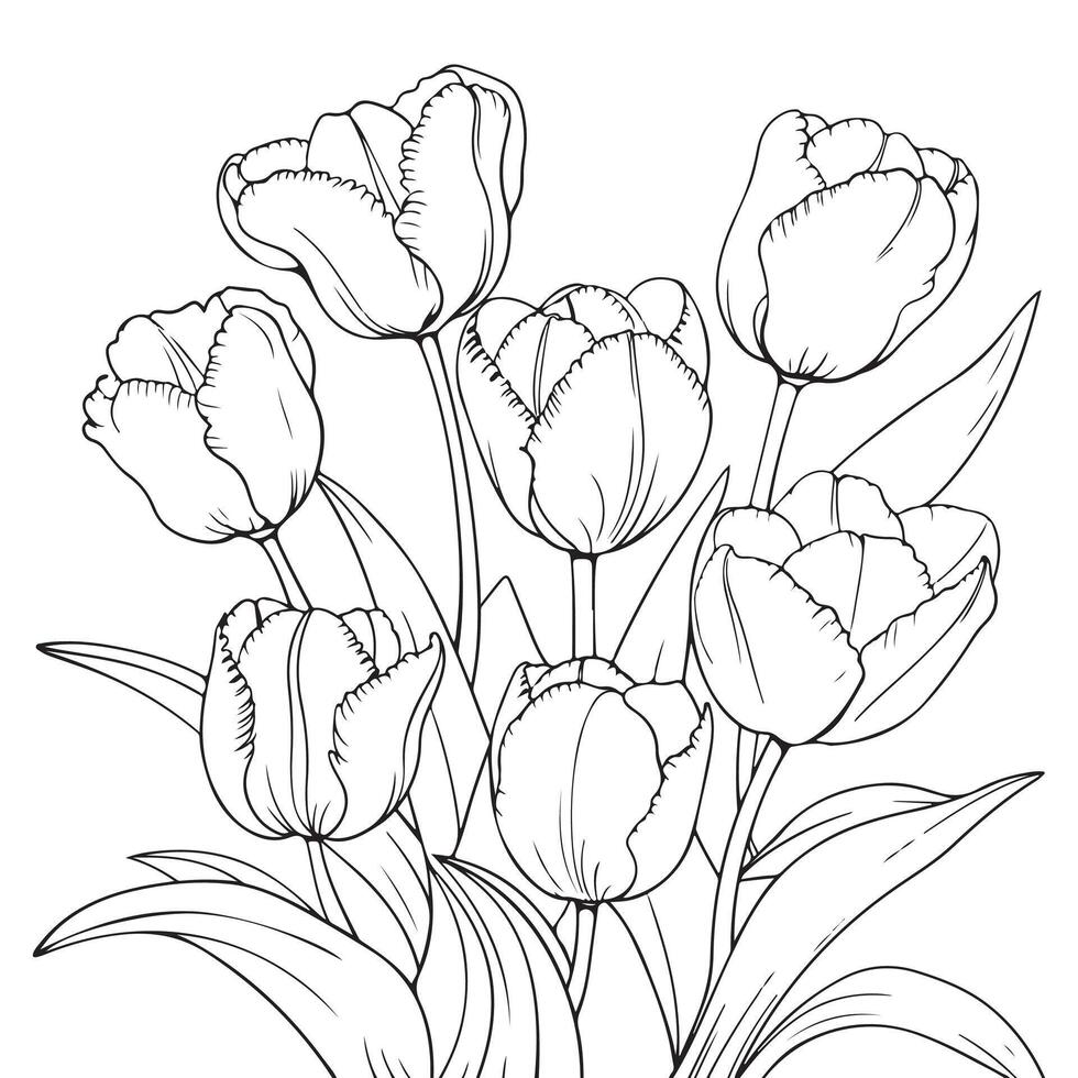 Bouquet of flowers. outline illustration of tulips on white background. Hand drawn sketch doodle style vector