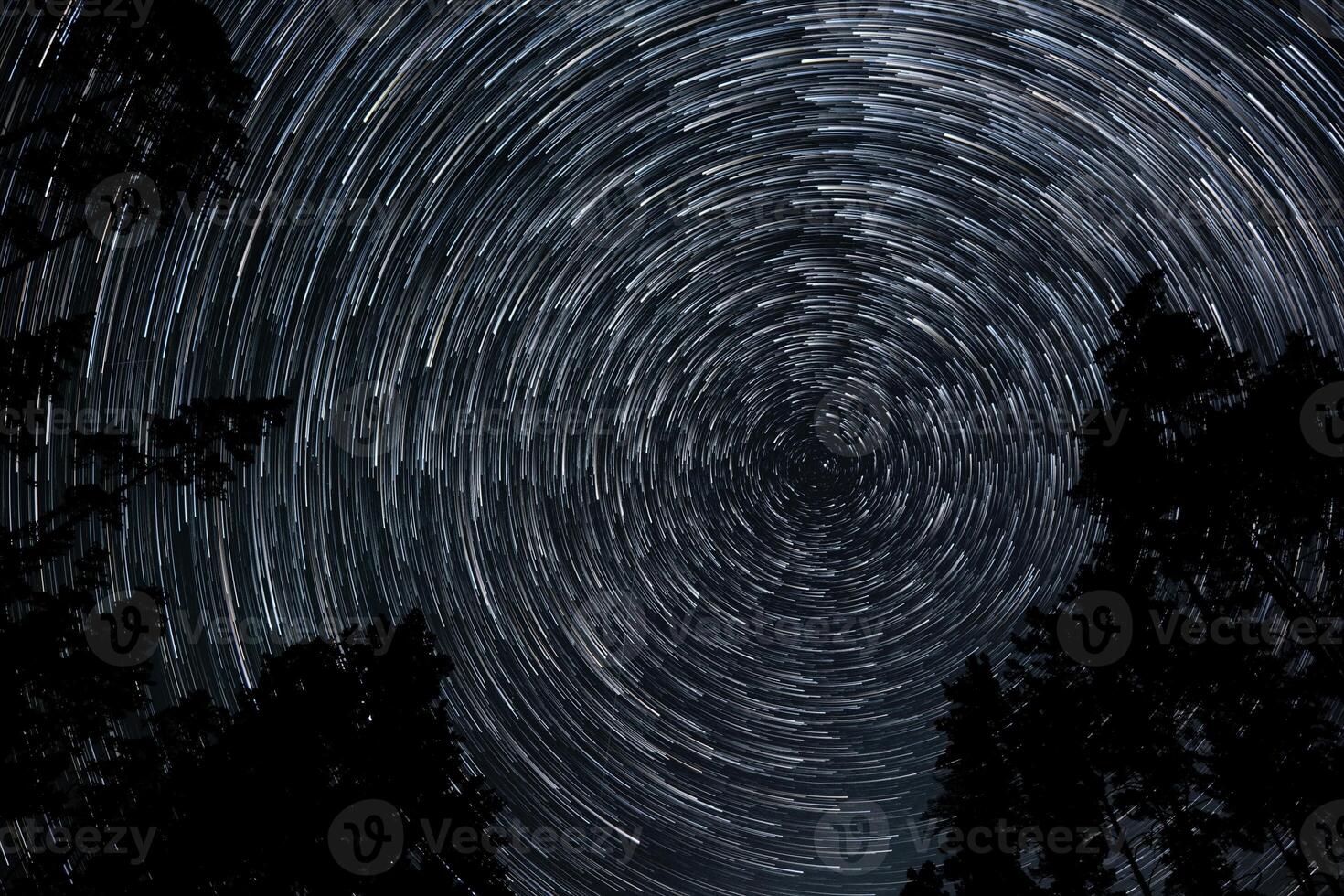 Long exposure captures mesmerizing star trails forming circular patterns above treetops, showcasing the beauty of the night sky in a remote forest location. photo
