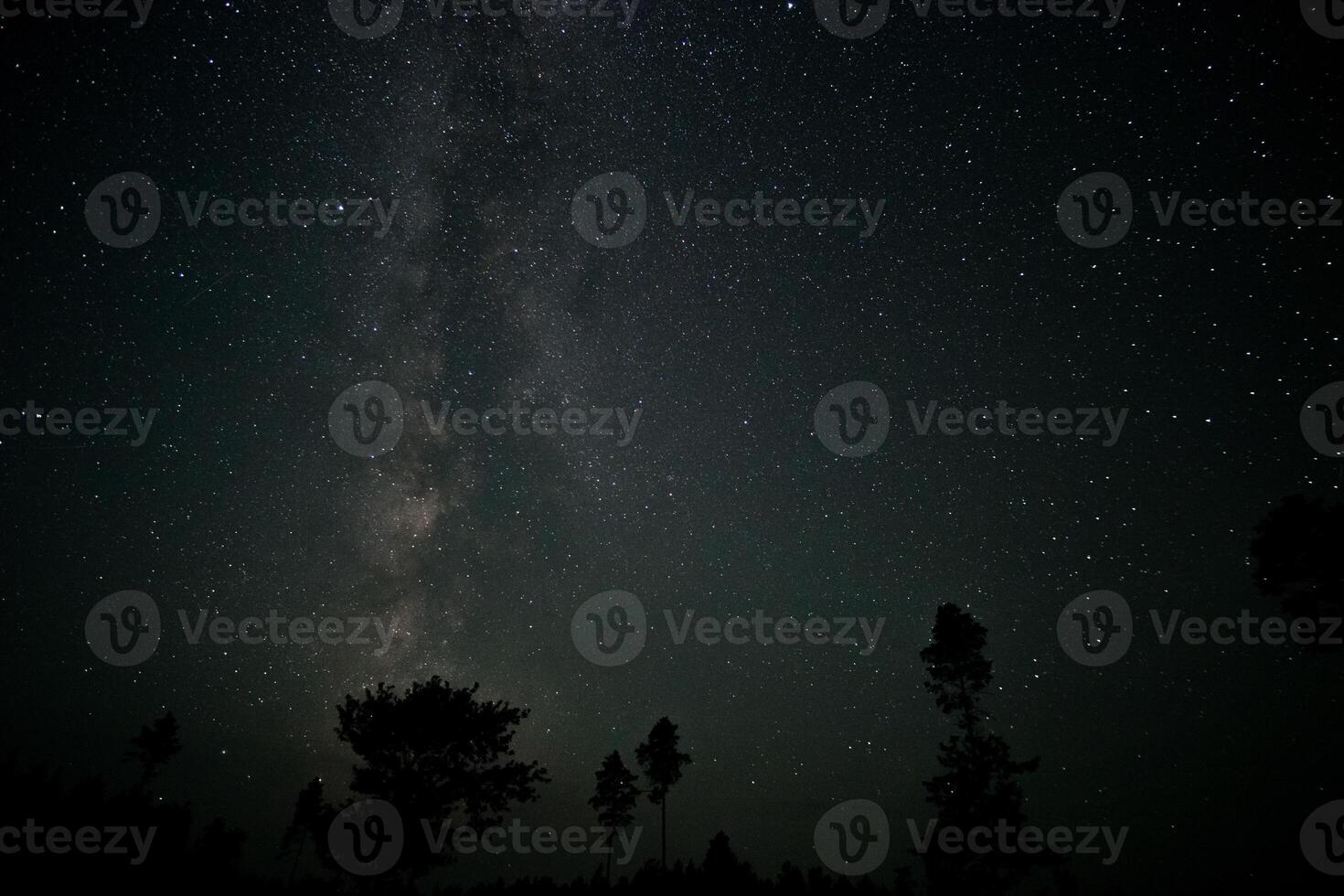 Stars shine brightly in the night sky with the Milky Way prominently visible. Silhouettes of trees frame the view in a serene forest setting under calm conditions. photo