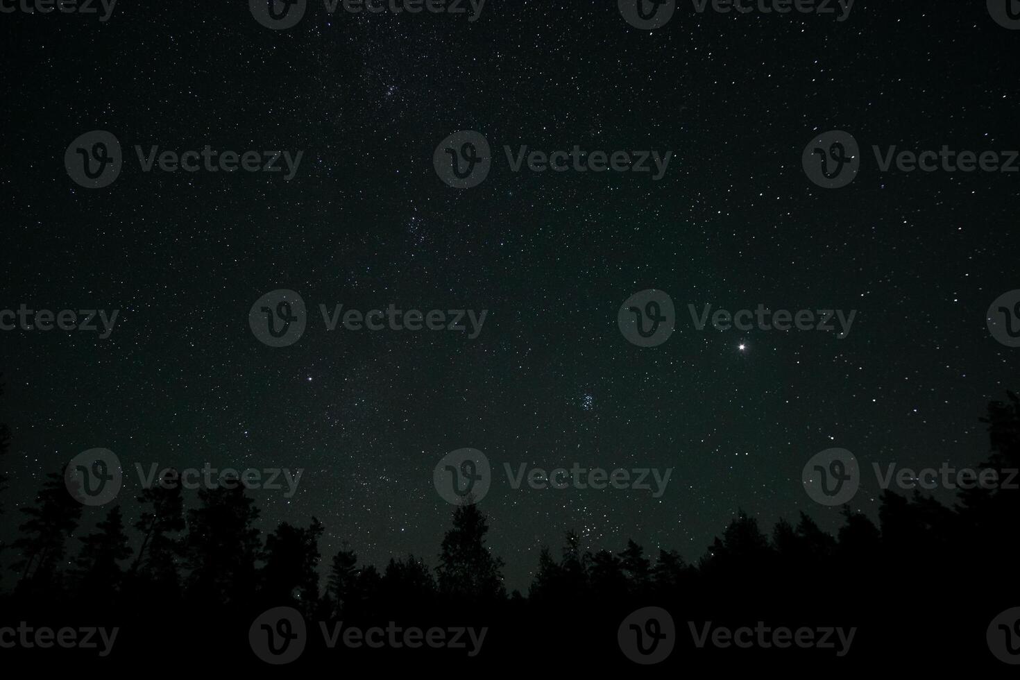 A clear night sky reveals countless stars sparkling above a dense forest. The tranquility of the setting enhances the beauty of the celestial display, offering a peaceful retreat. photo