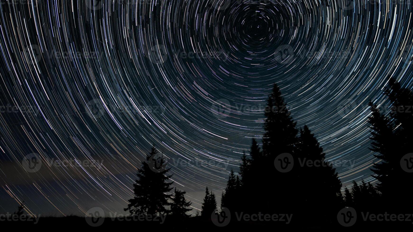 Star trails in the night sky. Stars move around a polar star. Silhouettes of trees photo