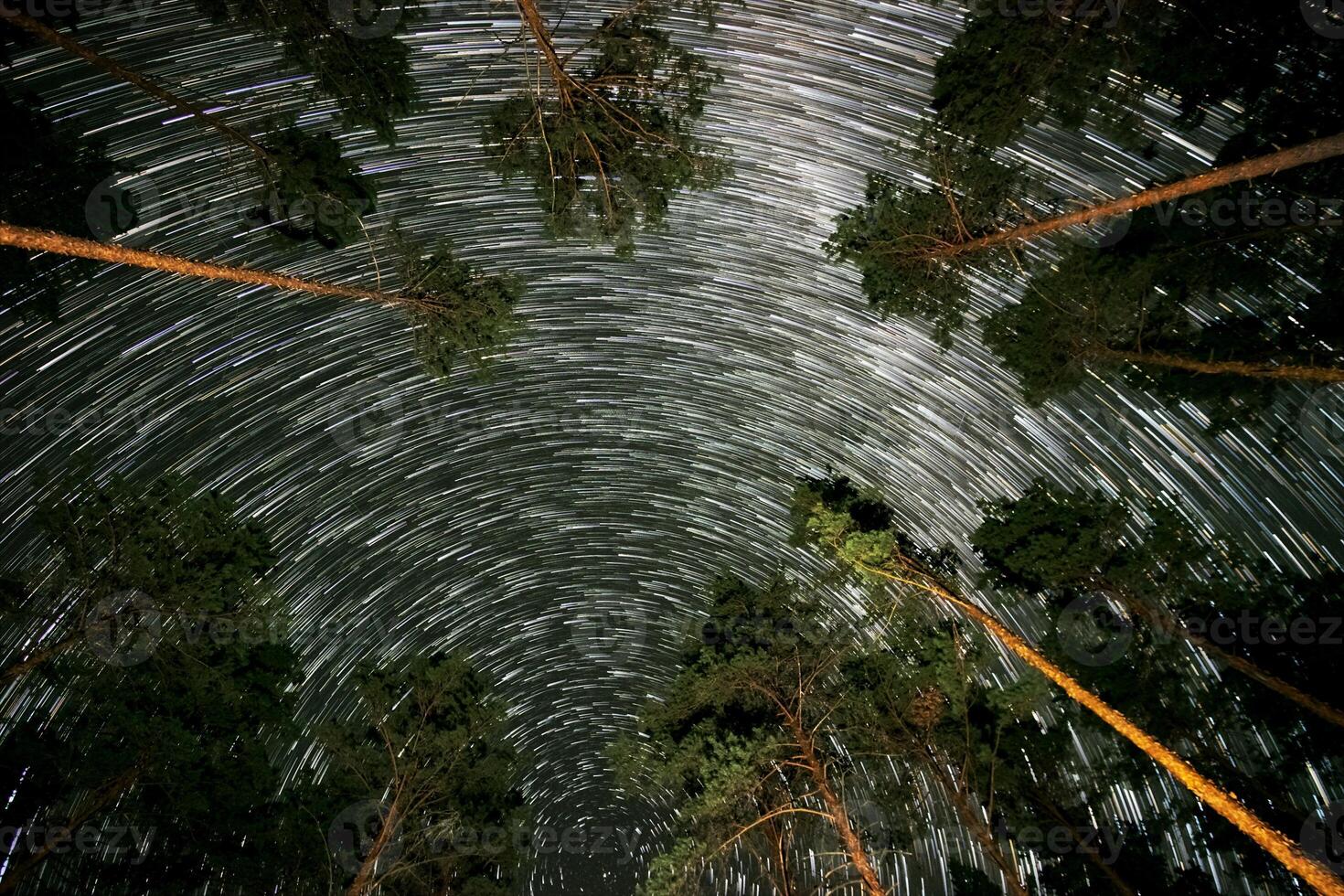Under a starlit sky, bright trails of stars spiral around the North Star, creating a magical effect above tall pine trees in a quiet forest. photo