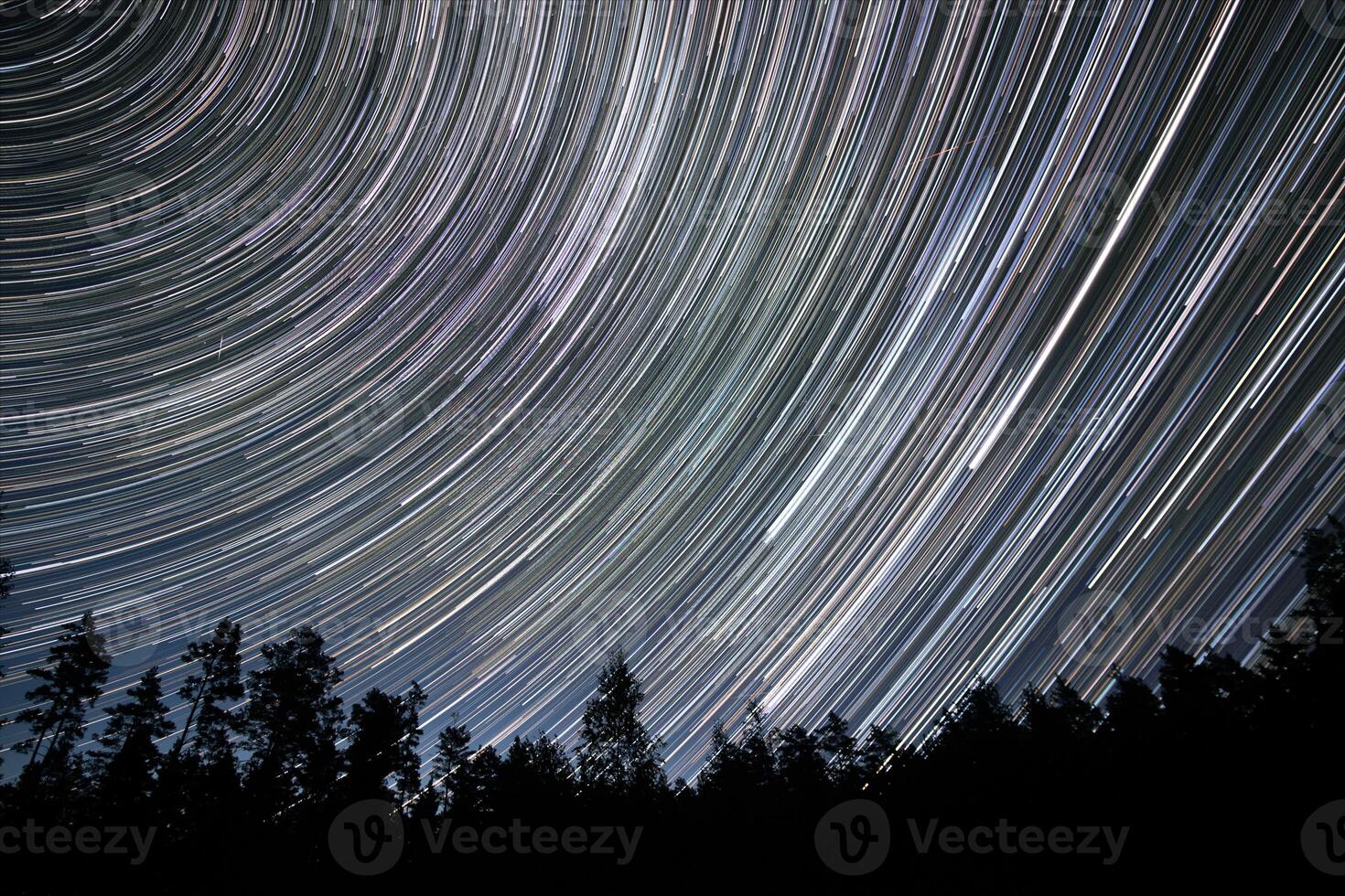 A mesmerizing display of star trails arcs across the night sky, creating a sense of motion above the dark silhouettes of trees in a quiet forest. photo