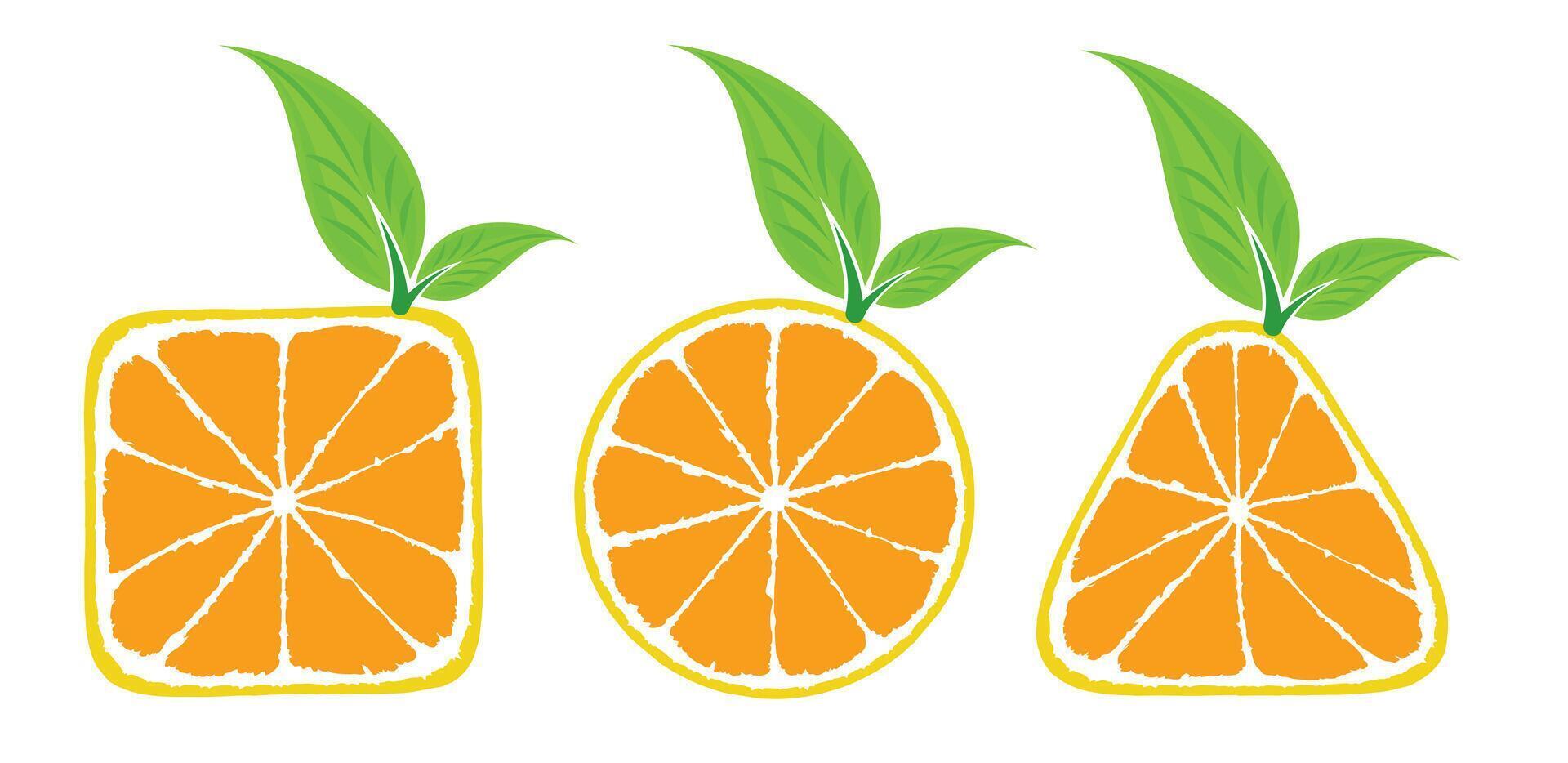 A set symbols of the stylized oranges. vector