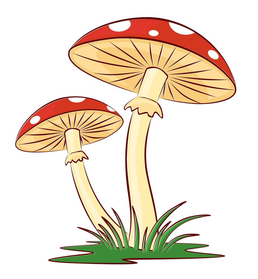 The red forest mushrooms with a green grass. vector