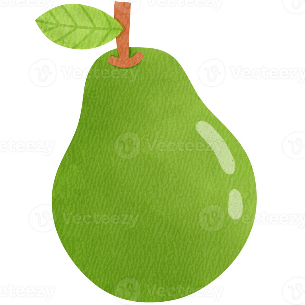 A perfectly ripe avocado, ready to be enjoyed png