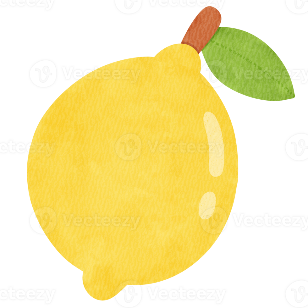 Fresh lemon and vibrant lemon png