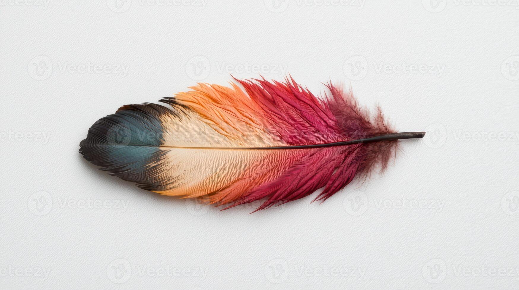 Vibrant gradient bird feather on white background photo