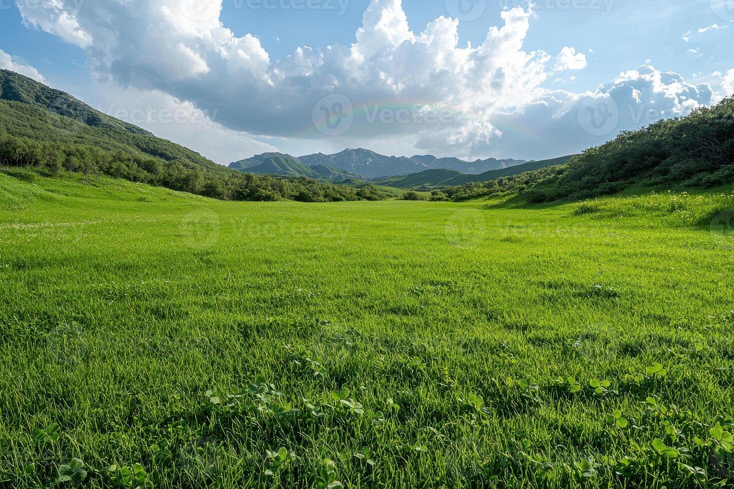 Rainbow over lush green meadow in mountain valley photo