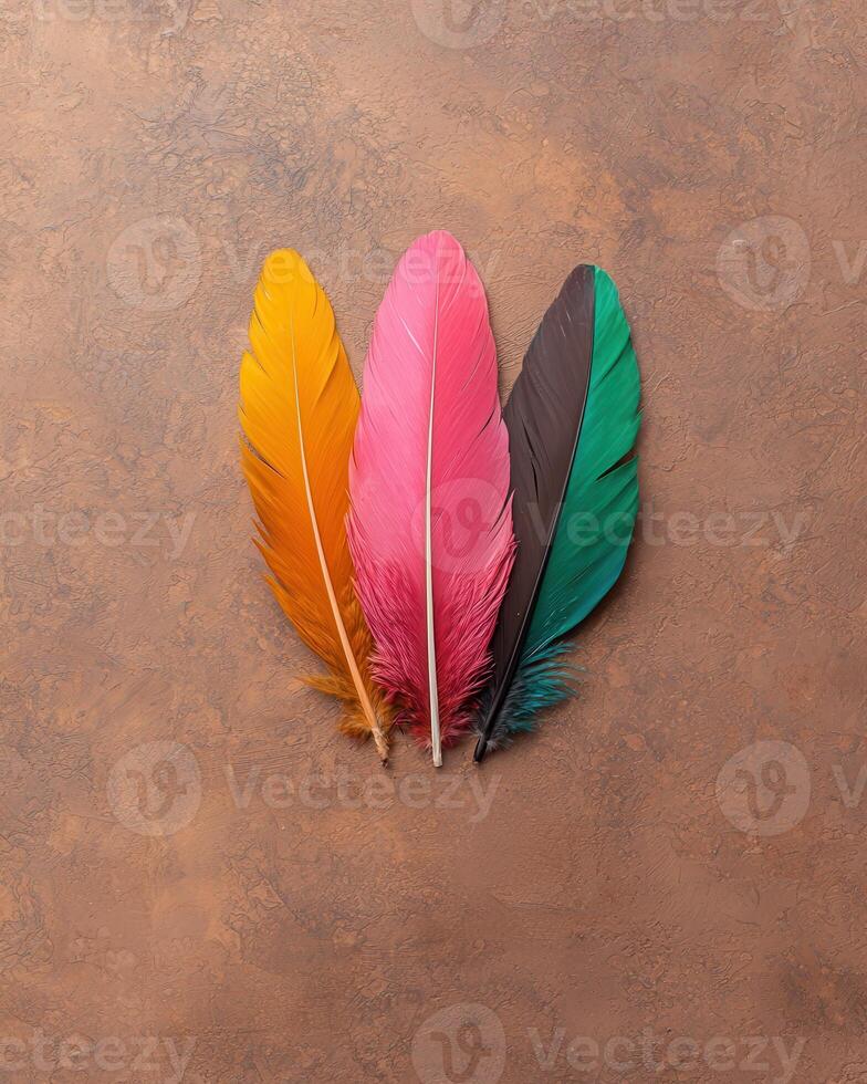 Three colorful feathers on a brown background photo