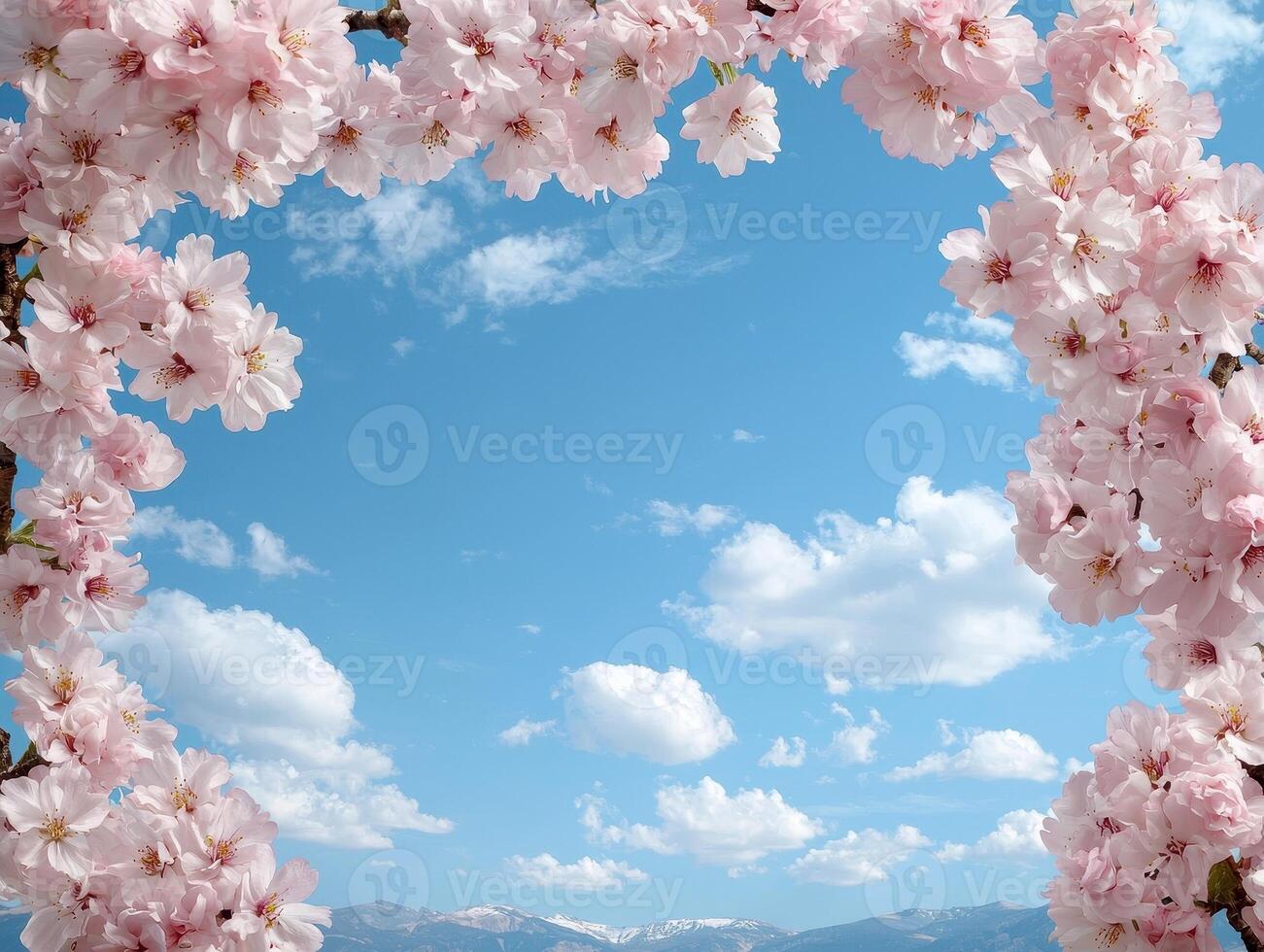 Pink cherry blossoms frame a bright blue sky with fluffy clouds and distant mountains photo