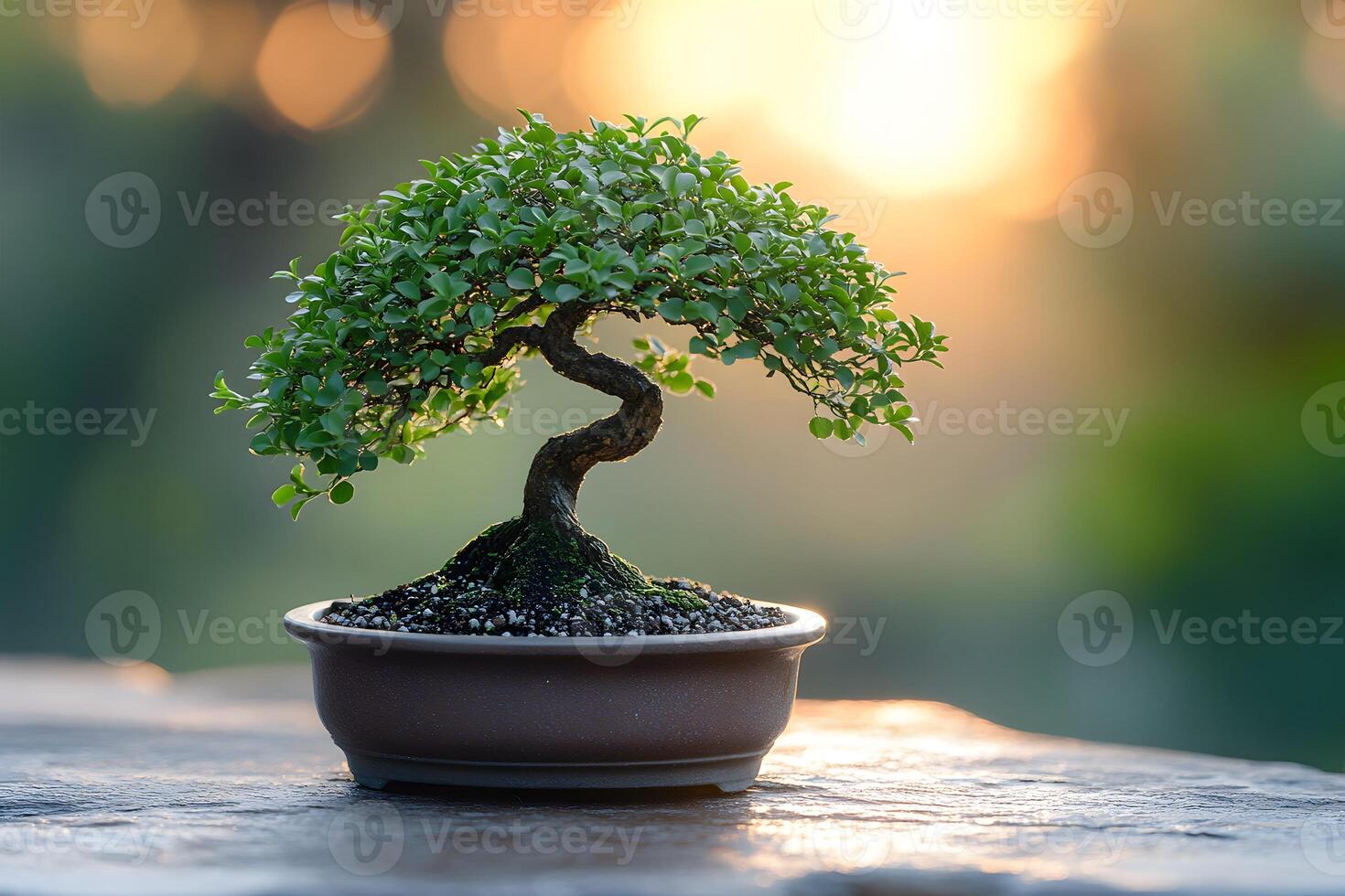 Serenity in Nature Artistic Bonsai Tree at Sunset for Zen Decor and Inspiration photo