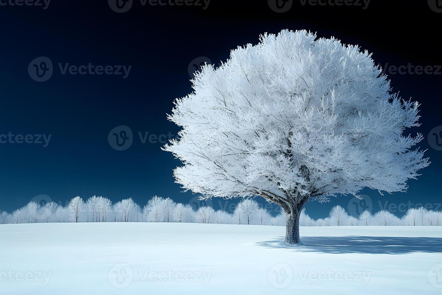 Solitary Frost-Covered Tree in Winter Landscape Under Deep Blue Sky photo