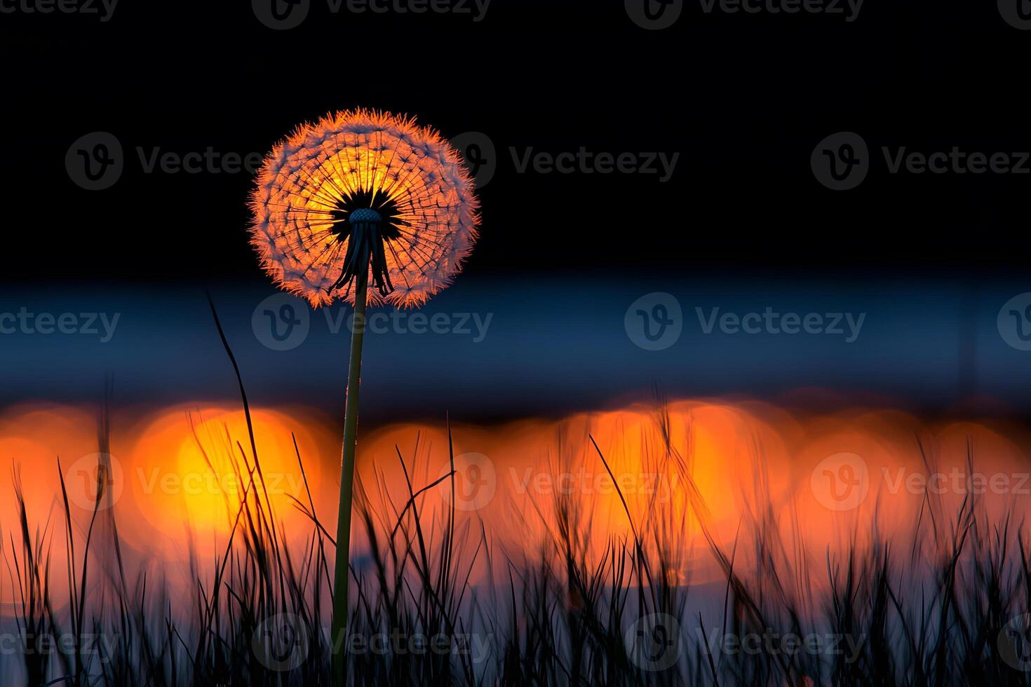 Illuminated Dandelion at Sunset Over Water Nature's Beauty in Golden Hour Photography photo