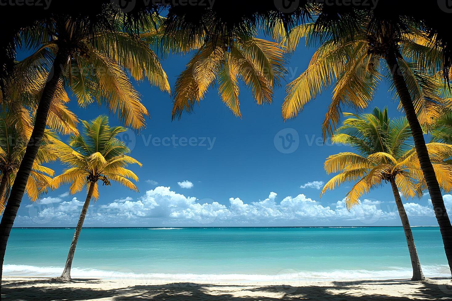Tropical Paradise Beach with Palm Trees and Clear Blue Water for Vacation Inspiration photo