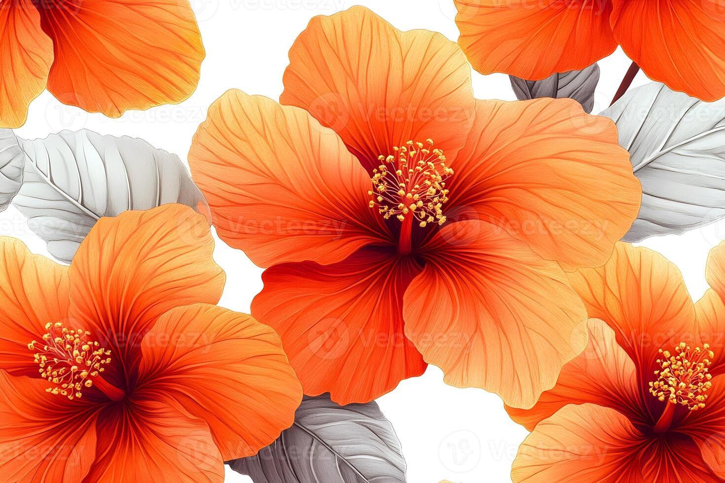 Vibrant Orange Hibiscus Flowers with Textured Leaves for Nature-Themed Designs photo