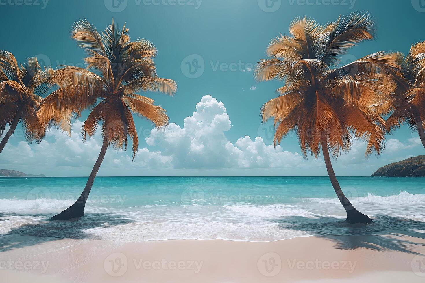 Tropical Paradise Beach Scene with Palm Trees and Turquoise Waters for Relaxation and Vacation Themes photo