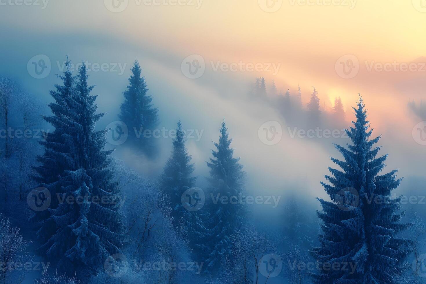 Majestic Winter Landscape at Dawn with Fog and Pine Trees photo