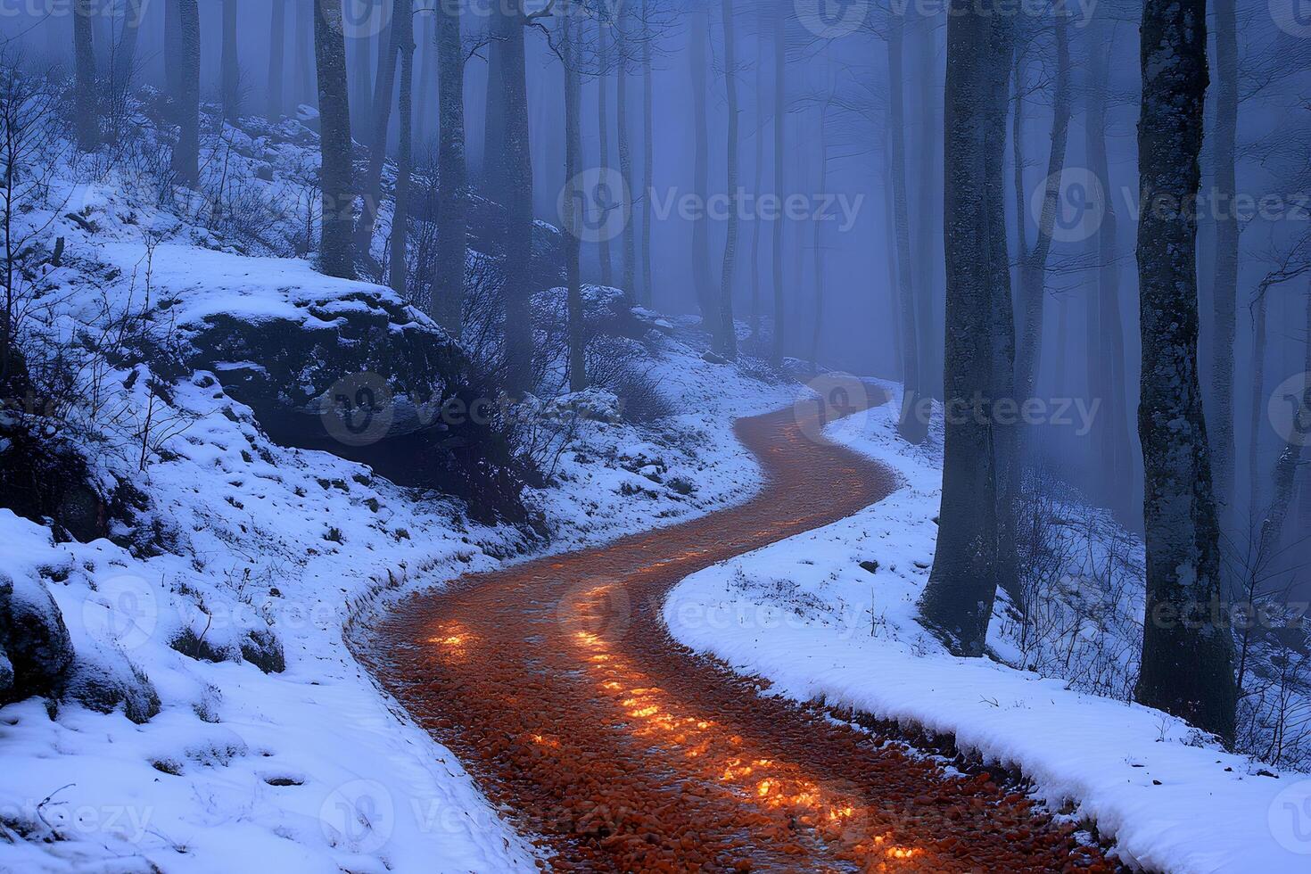 Enchanted Winter Pathway in Foggy Forest - Mystical Landscape for Nature Art and Posters photo