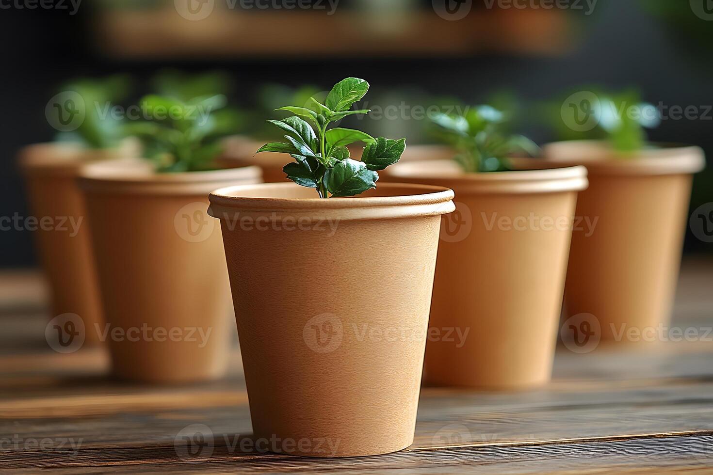 Young Green Plants Growing in Biodegradable Cups - Eco-Friendly Gardening Concept photo
