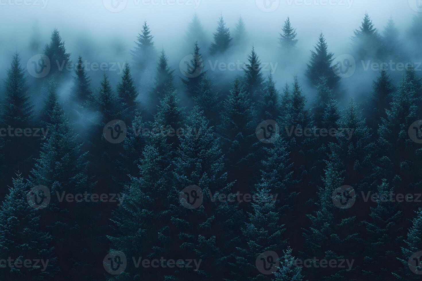 Misty Pine Forest in Tranquil Winter Scenery for Nature and Landscape Design photo