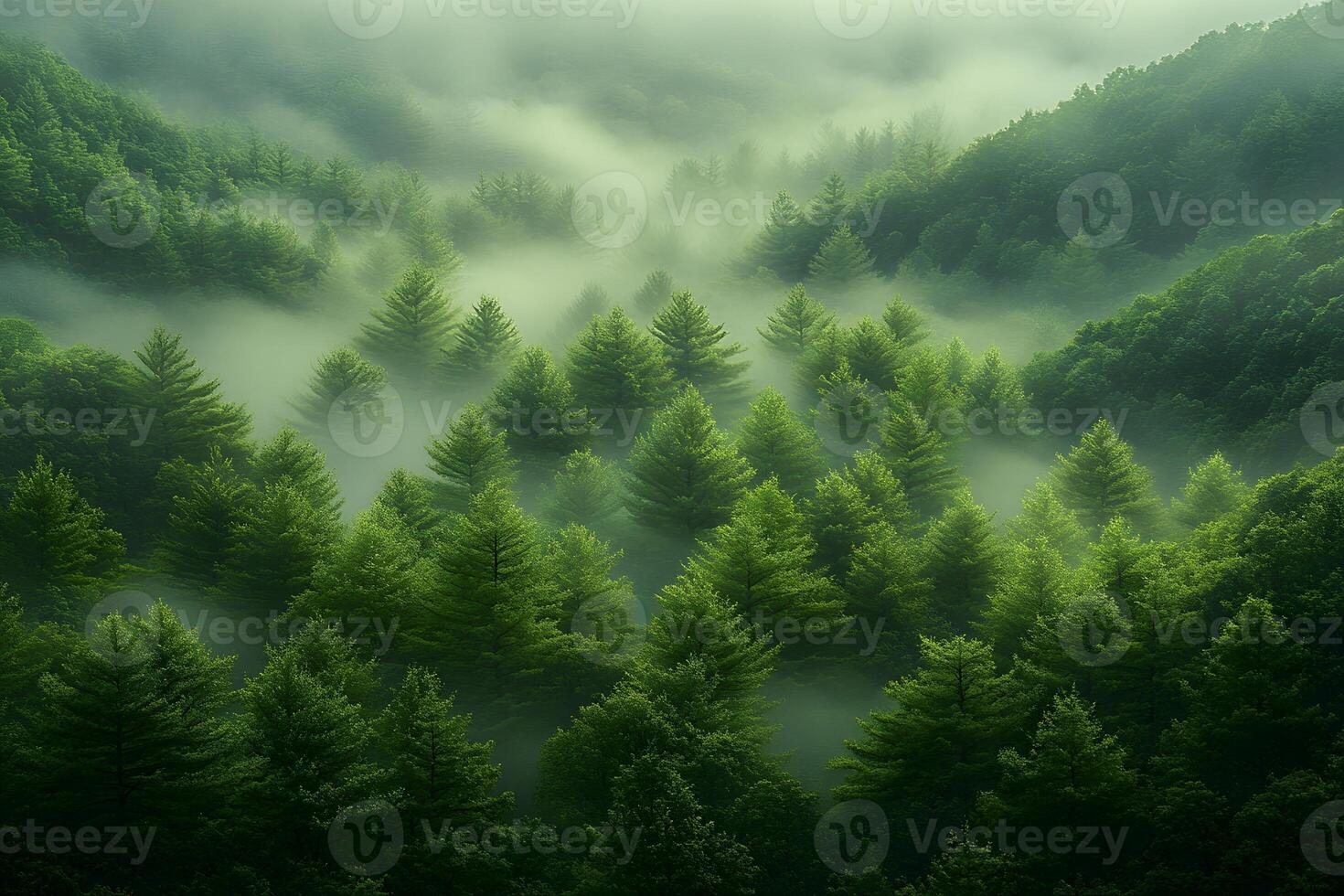Mystical Emerald Forest with Lush Green Pine Trees and Enveloping Mist photo