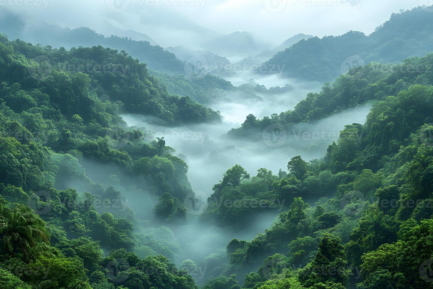 Misty Tropical Valley with Lush Greenery and Rolling Hills in Serene Landscape photo