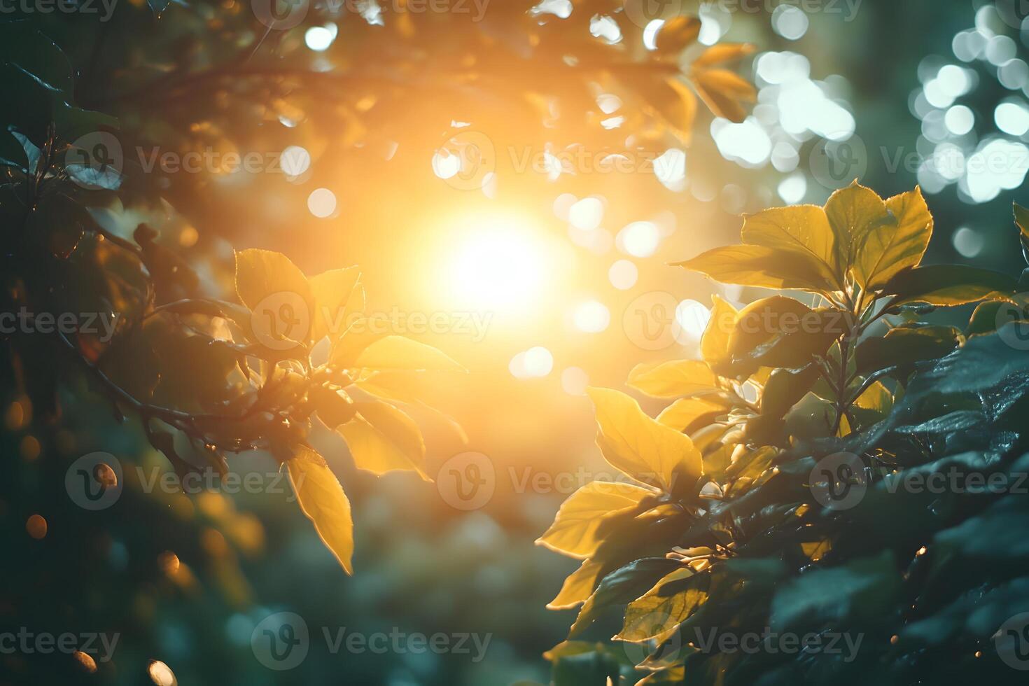 Sunlit Forest Scenery with Lush Greenery and Warm Golden Glow photo