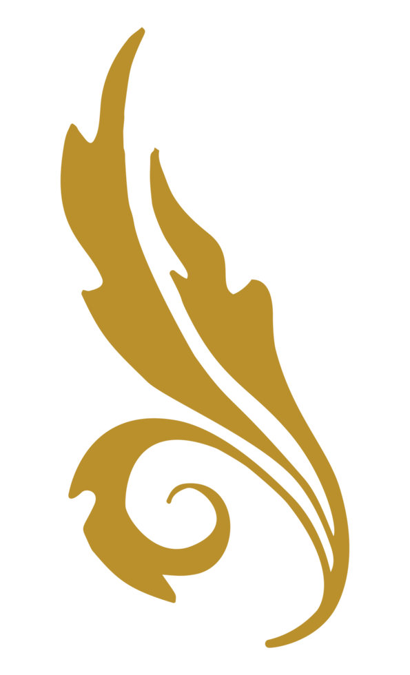 Vintage Curl element png