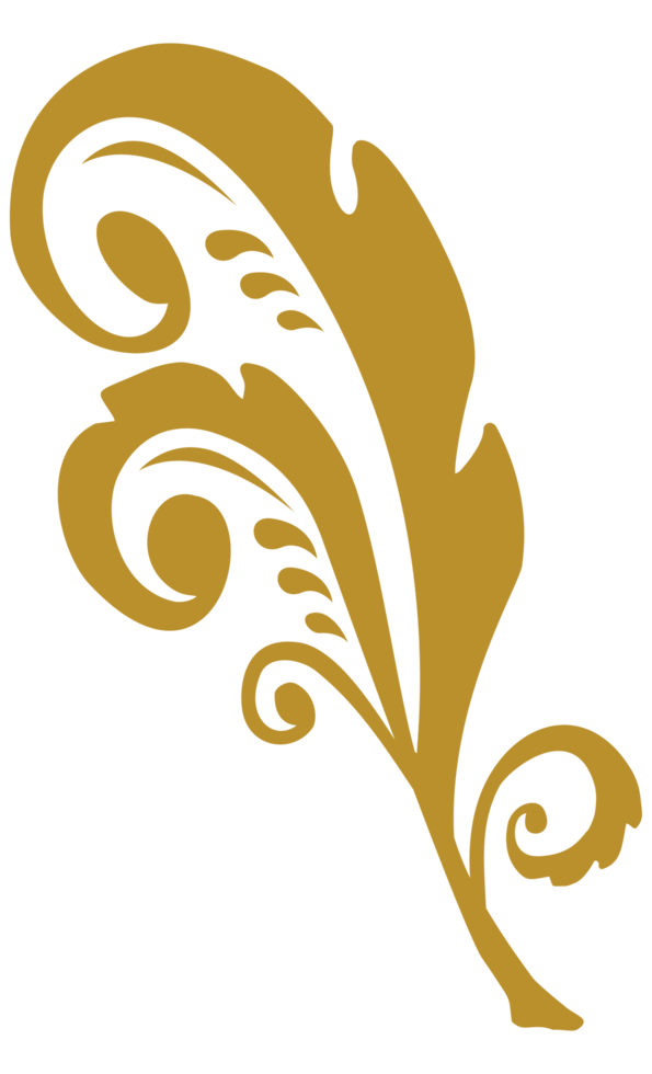 medieval curl ornaments png