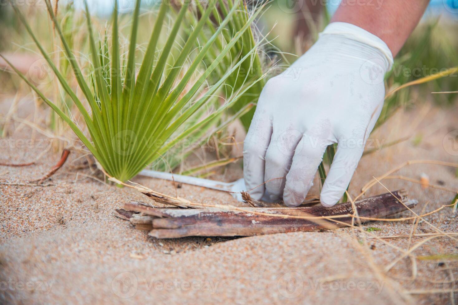 A person wearing a white glove is picking up trash on the beach photo
