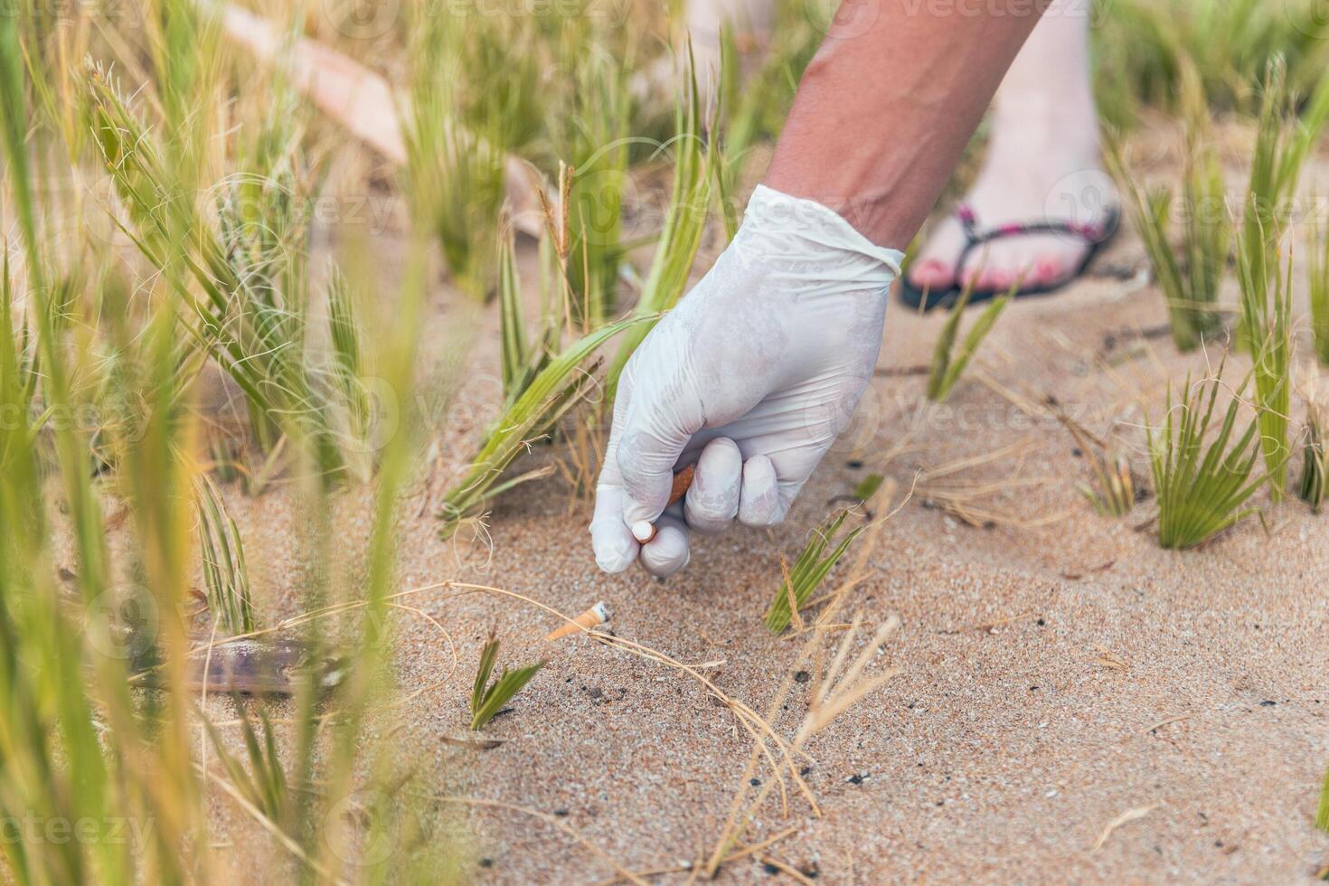 Close up of the hand of a person wearing gloves collecting cigarette buds photo