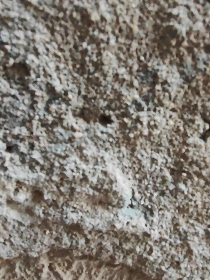 Pitted Concrete Wall with Natural Grit photo