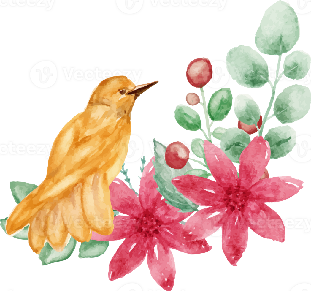 watercolor bird and flowers clipart png