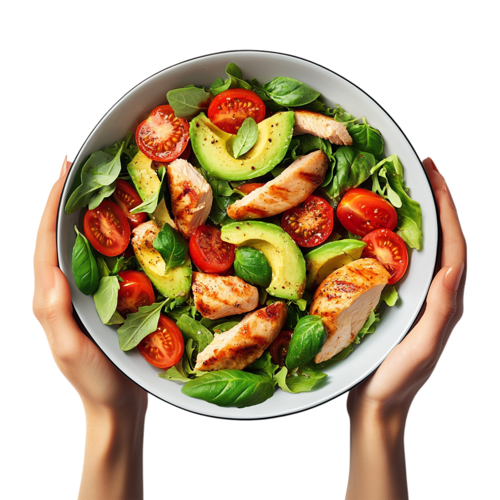 Hands holding a bowl of salad with chicken, avocado, tomatoes and basil png