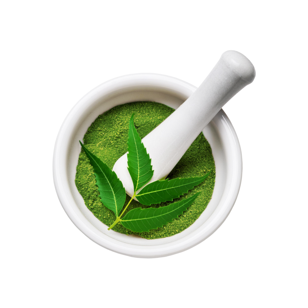 Top view of neem leaf powder with white ceramic mortar and pestle on transparent background png