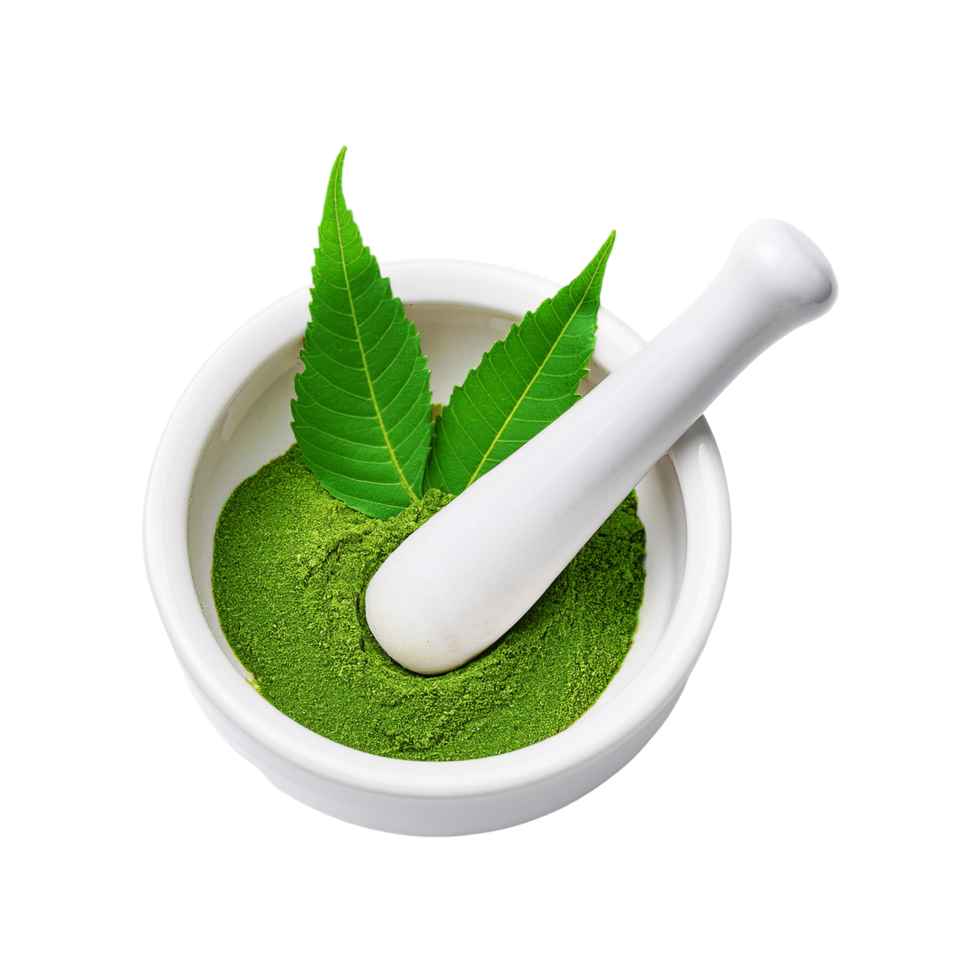 Fresh neem leaf powder with white ceramic mortar and pestle on transparent background png