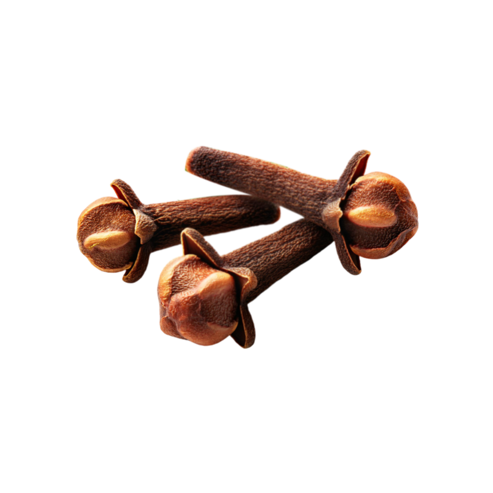 Clove cooking spice on transparent background png